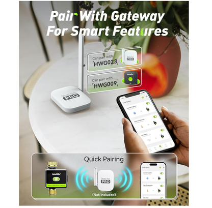 RainPoint Water Timer