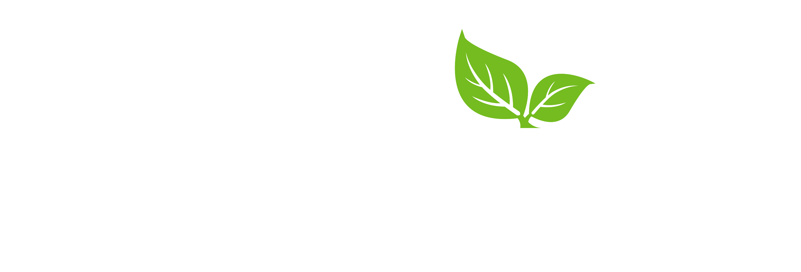 RainPoint